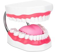 Generico Modello di Bocca dei Denti Ingrossato 6X con Cerniera Metallica, Set Completo di Denti e Lingua Rimovibile, Strumento in PVC per Terapia del Linguaggio, per Insegnare la Spazzolatura