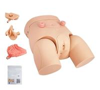 Generico Modello di cateterismo Intercambiabile Maschile Femminile, Modello di catetere uretrale urinario di Pratica Infermieristica, manichini di catetere didattico in PVC per l'insegnamento