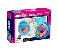 Generico Modello di cellula animale 4D, organelli cellulari, modello di apprendimento della cellula animale, struttura microbiologica sotto il microscopio, 24 parti staccabili