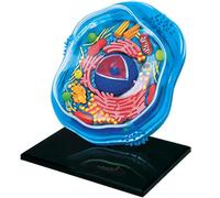 Generico Modello di cellula animale 4D visivo, modelli anatomici a sezione trasversale da montare, puzzle educativo di biologia cellulare animale, 24 pezzi staccabili