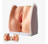 Generico Modello di guida contraccettiva femminile, modello di formazione IUD Modello di manichino ginecologico per comprendere la struttura e la funzione del sistema riproduttivo femminile