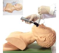 Generico Modello di insegnamento del manichino di intubazione, dimostrazione del PVC dell'addestratore della Gestione delle Vie aeree dell'intubazione nasale Orale per Lo Studio Pratico