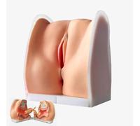 Generico Modello di manichino ginecologico Femminile, Modello di Anatomia dei genitali Femminili Modello Umano di Formazione Iud con Struttura Anatomica accurata Adatta all'insegnamento