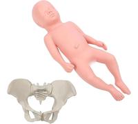 Generico Modello di Parto Pelvico per Donna Incinta - Modello per Addestramento Ostetrico, Bambino e Bacino Separabili di 48cm, l'Articolazione Sacroiliaca è Movibile per Strumenti Educativi,Female