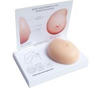 Generico Modello di Seno Femminile, manichini del Modello del Seno del Silicone, Seno con Il Modello anatomico del Cancro, manichini patologici del Test di autodiagnosi del Seno