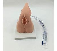 Generico Modello di simulatore per l'addestramento al cateterismo uretrale Femminile - Modello semplificato di Inserimento urinario con Anatomia Interna e genitale Femminile per la Formazione