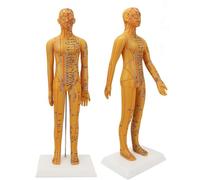 Generico Modello femminile da 52 cm, modello di agopuntura del corpo umano, modello umano della pelle della pratica dell'agopuntura umana per l'insegnamento cinese, massaggio