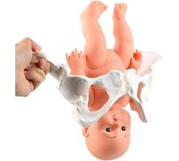 Generico Modello per l'addestramento al parto neonatale - Modello di parto pelvico femminile con bambino e sinfisi pubica, articolazione sacroiliaca mobile, apprendimento e insegnamento