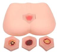 Generico Modello per l'addestramento all'ulcera da decubito Kit per la Cura delle ferite da decubito 4 stadi di piaghe da decubito Modello per la Simulazione Pratica di insegnamento