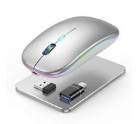 Generico Mouse Wireless Bluetooth 5.1 e 2.4G, RGB Illuminato, Ricaricabile, Doppia Modalità di Connessione, Argento Spaziale, Silenzioso ed Ergonomico per PC, Laptop, MacBook, iPad