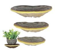 Generico Mushroom Shelf Wall Decor, 3 Piece Floating Resin Storage Shelf, Unique Room Decoration, Resin Shelves, Corner Wall Mount Stand for Movable Figures, Hairpins, Accessories