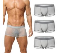 Generico Niksy Underwear, Niksy Mens Ultra-Thin Ice Silk Transparent Boxer Briefs, Sheer Underwear for Men, Cool, Breathable (Light Gray*3,3XL)