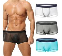 Generico Niksy Underwear, Niksy Mens Ultra-Thin Ice Silk Transparent Boxer Briefs, Sheer Underwear for Men, Cool, Breathable (Mix D,XXL)
