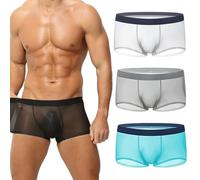 Generico Niksy Underwear, Niksy Mens Ultra-Thin Ice Silk Transparent Boxer Briefs, Sheer Underwear for Men, Cool, Breathable (Mix E,M)