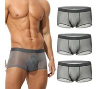 Generico Niksy Underwear, Niksy Mens Ultra-Thin Ice Silk Transparent Boxer Briefs, Sheer Underwear for Men, Cool, Breathable (Dark Gray*3,XXL)
