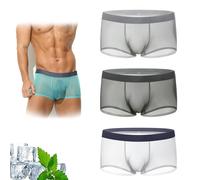 Generico Niksy Underwear, Niksy Sheer Underwear for Men, Mens Ultra-Thin Ice Silk Transparent Boxer Briefs for Daily Use (3pcsD,L)