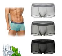 Generico Niksy Underwear, Niksy Sheer Underwear for Men, Mens Ultra-Thin Ice Silk Transparent Boxer Briefs for Daily Use (3pcsA,M)