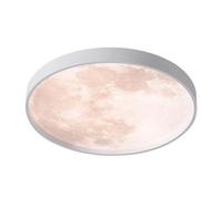 Generico Nordic LED Ceiling Light Circular Flush Mount Ceiling Lamp Modern Dimmable Panel Lights for Bedroom Living Room Kitchen Hallway(38cm)