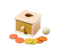Generico Object Permanence Toys, Preschool Learning Toy, Colorful Multiple Shape Drawer Puzzle, Adorable Early Learning Game, Educational Activity for 1-Year-Old Childrens, 8.15x4.33x3.27 inches