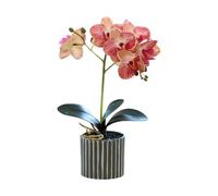 Generico Orchidea Artificiale a Otto Teste Orchidee Bianche in Vaso Fiore di Orchidea Finto con Vaso di Fiori Decorazione per Bagno e Camera da Letto Fiore (rosa striato)