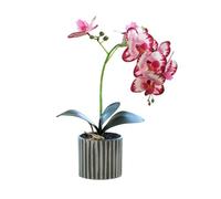 Generico Orchidea Artificiale a Otto Teste Orchidee Bianche in Vaso Fiore di Orchidea Finto con Vaso di Fiori Decorazione per Bagno e Camera da Letto Fiore (rosa rossa)