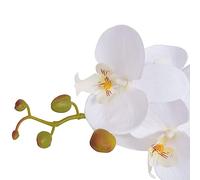 Generico Orchidea Artificiale con Vaso75 cm Bianca,Flora artificiale-244425