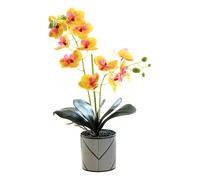 Generico Orchidea Artificiale Viola a Due Punte con 12 Petali in Vaso Fiore Decorativo Phalaenopsis Bianco Finta Orchidea Arancione Realistica Decorazione a Farfalla Bianca Simulata in Vaso (orange)