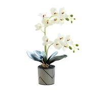 Generico Orchidea Artificiale Viola a Due Punte con 12 Petali in Vaso Fiore Decorativo Phalaenopsis Bianco Finta Orchidea Arancione Realistica Decorazione a Farfalla Bianca Simulata in Vaso (white)