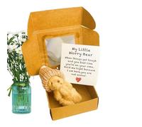Generico Orsetto nella Scatola - Orsacchiotto di Peluche nella Scatola | Giocattolo Animale Fatto A Mano Con Biglietto Ispirazionale Per Laurea Mamma Neonato Battesimo Natale San