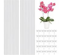 Genérico Pali per piante: 20 per piante con clip, supporto per giardino, bastoncini in acrilico per piselli, more, rose, tulipani, petunia pothos vine ivy monstera Flower accesso