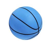 Generico Pallacanestro Piccola,6 Cm Gioco Sportivo Ad Alto Rimbalzo,Mini Palloni da Basket per Canestro da Interno - Per Bambini Piccoli e Ragazzi per Interno ed Esterno per Camera da Festa e Classe