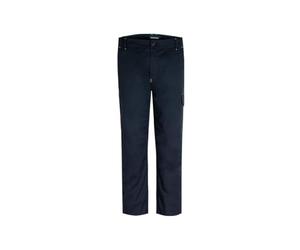 Generico Pantaloni da Lavoro Uomo in Cotone Elasticizzato Mini Ripstop Codice A80901 R-Smart Rossini (IT, Testo, L, Regular, Regular, Blu)