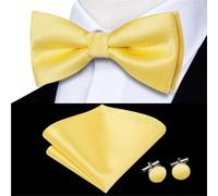 Generico Papillon Pre-legati Papillon da uomo in seta dorata con gemelli, fazzoletto e jacquard floreale pre-annodato a farfalla, for, matrimonio business Per Uomo(Color12)