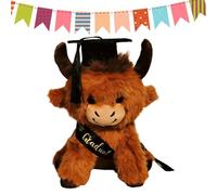 Genérico Peluche per la laurea - Venticinque centimetri Pupazzo Morbido | Giocattoli S | per donne e uomini, laurea, scuola materna, scuola secondaria e università