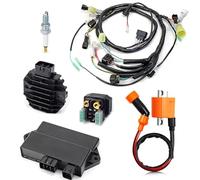 Generico per Raptor 350 per YFM350R 2004-2013 Cablaggio CDI Bobina di Accensione Pacchetto Regolatore Rebuild Kit 5YT-82590/85540-00-00 Bobina Accensione del Motore