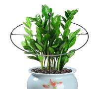 Generico per Stelo di Piante - per Interni Ed Esterni Senza Sforzo - Strutture di per Piante A Griglia Simmetrica Invisibile | per Peonia Rosa Monstera Stelo Vegetale Rialzato