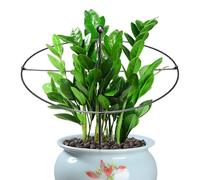 Generico per Stelo di Piante - per Interni Ed Esterni Senza Sforzo - Strutture di per Piante A Griglia Simmetrica Invisibile | per Peonia Rosa Monstera Stelo Vegetale Rialzato