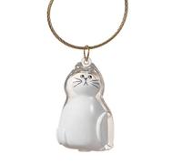 Generico Pet Memory Box - 1.77in Hair Storage Bottle | Clear Keepsake Container For Loss Sympathy, Cute PVC To Collect Cat Whiskers, Tidy Home Or Travel Remembrance Gift For Family Friends