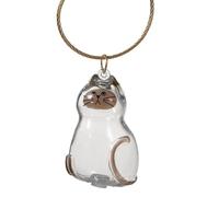 Generico Pet Memory Box - 1.77in Hair Storage Bottle | Clear Keepsake Container For Loss Sympathy, Cute PVC To Collect Cat Whiskers, Tidy Home Or Travel Remembrance Gift For Family Friends