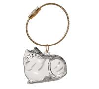 Generico Pet Memory Box - 1.77in Hair Storage Bottle | Clear Keepsake Container For Loss Sympathy, Cute PVC To Collect Cat Whiskers, Tidy Home Or Travel Remembrance Gift For Family Friends
