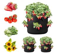 Generico Piantane per fragole da esterno, contenitore di supporto per fragole, sacchi traspiranti per la coltivazione di piante da giardino per peperoni, patate, rose e verdure (#10gallons)