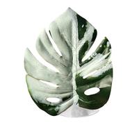 Generico Piante di Saltatore - Decorazione A Forma di Foglia con | Ornamento per L'habitat del | Accessorio per Vegetazione Finta, Decorazione per Terrario nella Giungla, Esposizione di Pia