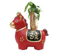 Genérico Piante verdi in vaso compatto con figura di cavallo | Piante grasse vive, per famiglia, amici, donne, anno, casa, ufficio, casa