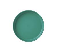 Generico Piattini Porta Avanzi in Plastica, Piccoli Vassoietti Multiuso per Snack, Ossa, Frutta Secca, Olive, per Tavola, Cucina, Festività,Design Colorato stile Macaron (Verde)