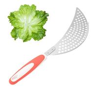Genérico Piatto scolaverdure in acciaio inox, accessori da cucina compatti per casa, residenza e ristorante, piastra scolapiatti per lavare gli alimenti