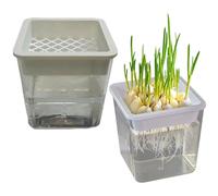 Generico Plant Propagation Station - Hydroponic Planter | Layered Soil-Free Containers For Semi-Hydro Cuttings, Seedlings & African Violets, Ideal For Desk, Balcony, Windowsill & Indoor Gardening