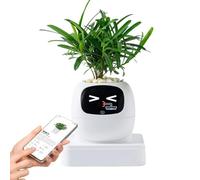 Generico Plant Robot - Guidance On Plant Care Multiple Expressions Flowerpot, Pothos Flowerpot | AI Smart Planting Robot For Indoor Home Apartment Office Living Room Bedroom Balcony Beginners