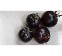 generico POMODORO BLACK BAYOU- IL PIU' NERO-SEMI