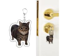 Generico Portachiavi Gatto | Ciondolo Portachiavi Cucciolo In Acrilico | Accessorio Di Moda Souvenir Decorazione Per Borsa Per Adulti Adolescenti Coppie Amici Compagni Di Classe E Zaino Da Scuola