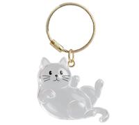 Generico Portachiavi Ricordo Per Animali Domestici | Accessorio Portachiavi Raccoglipeli Trasparente - Accessorio Portatile Ricordo Per Tutti Regalo Compleanno Viaggio Quotidiano